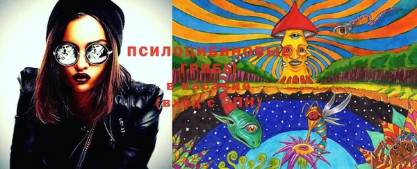 соль ск Надым