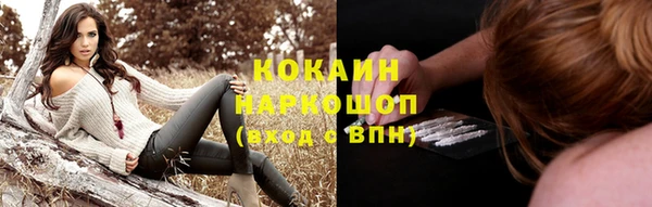 соль ск Надым