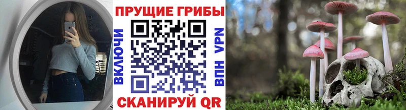 Купить Реутов Галлюциногенные грибы GOLDEN TEACHER